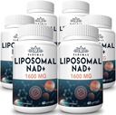1600 mg Liposomal NAD Supplement, 98% Pure NAD+ Supplement, Superior Absorption, Alternatiiv nikotiinamiid Riboside või NADH, et suurendada NAD+ vananemise kaitse, energia, pikaealisus, 360 Softgels