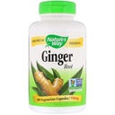 Nature's Way Ginger Juur 550 mg, kapslid 180ea