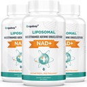 Orgabay Liposomal NAD+ Täiendus 500 mg, kõrge imendumine, NAD+ suurendamine TMG 250 mg-ga, tegelik NAD Plus tõhusam kui nikotiinamiid ribosiid, rakuenergia toetamine, tervislik vananemine | 180 softgeeli