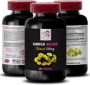 Ginkgo biloba Täiendus - Ginkgo BILOBA ekstrakt - looduslik antioksüdant Ekstrakt, Taimne antioksüdant Toetus, Ginkgo biloba Kasu, Botaanikaekstrakti täiendus, Taimne antioksüdant 1 Bot 60 kapslit