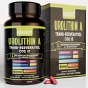 Urolitiin A Supplement for Urban Working Women: Anti-Aging Kapslid Trans-Resveratrooli ja CoQ10 - USA Lab Kinnitatud toetada Tervislik vananemine ja rakkude uuendamine (9in1)