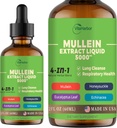 4-in-1 Mullein tilgad kopsudele, orgaaniline Mullein Leaf & Honeysuckle & Eucalyptus Leaf & Echinacea ekstraktid, kopsude puhastamiseks, immuunsuse ja hingamisteede toetamiseks, suhkruvaba | Mitte-GMO | Vegan, 2 Fl oz