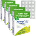 Boiron AllergyCalm Tablets 240 Loendada, leevendust allergia ja heinapalavik Sümptomid aevastamine, Runny nina, sügelevad silmad, kurguvalu, allergia Calm Tabs (varem RhinAllergy) (pakk 4 60ct Boxes)