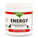 Animal Essentials Energy Cordyceps Seenelisa koertele ja kassidele - toetada vastupidavust ja vastupidavust, tervislikke hingamis- ja neerufunktsioone, antioksüdante, seenepulbri ekstrakti - 2,8 Oz (pakk 1)