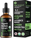 Orgaanilised mullein tilgad kopsudele - hingamistoetus & lima leevendus - Lung Detox suitsetajatele: Mullein Leaf Extract, Lagrits, Ingver, Oregano & Nettle Leaf, Thyme - Lung Cleanse Herbal Extract, 2oz