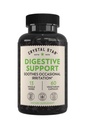 Crystal Star Digestive Support Supplement (60 kapslit) - Taimne soolestiku tervise täiendada, mis aitab aeg-ajalt gaasi ja puhumine - piparmünt, Aloe Vera, Slippery Elm & Ginger - Non-GMO
