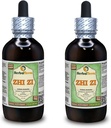 Zhi Zi, Gardenia (Gardenia Jasminoides) Glycerite, Organic Dried Fruit Alcohol-Free Vedel Extract (Brand Name: HerbalTerra, Proudly Made in USA) 2x4 fl.oz (2x120 ml)
