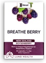 Hinga Berry Boysenberry Natural Tervislik Kopsude täiendus, toetab rindkere ummistumist, lima ja suurendab üldist hingamisteede heaolu Tervislik Kopsude täiendus