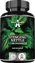 APOLLO HEGEMONY Stinging Nettle 500 mg - High Strength Extract DER 4:1, 90 Vegan Kapslid, 3 kuud tarne, taimsete täiendada toetada südame-veresoonkonna tervist