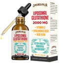 Liposomal Glutatioon Vedelik 2000MG – Antioksüdant Detox Supplement for Women & Men, Vananemine Kaitse, Maksafunktsiooni & Energy koos hüaluroonhape + Aloe Vera + Vitamiin C, Natural & Vegan, 2 FL.OZ