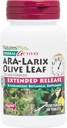 NaturesPlus Taimsed toimeained ARA Larix Olive Leaf - 30 tabletti - Immuunsüsteemi tugilisand, laiendatud vabanemisega botaaniline kompleks - taimetoitlane, gluteenivaba - 30 serveerimist