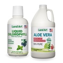 Maakunst Aloe Vera mahl - Granaatõunamaitseline - Külmtöödeldud - Mahepõllumajanduslike värskete lehtede sisefilee - 64floz + vedel klorofüllmündi maitsestatud - Külm ekstraheeritud looduslikest mitte-GMO Alfalfa - 16floz
