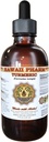 Kurkum (Curcuma Longa) vedel ekstrakt 2 fl.oz