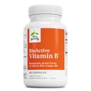 Terry looduslikult bioaktiivne B-vitamiin - südame tervise abistamine bioaktiivsete B-vitamiinidega - toidulisand folaadi ja kaltsiumiga - B kompleksvitamiin, mis aitab närvisüsteemi funktsiooni - 60 kapslit