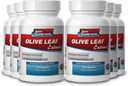 Sport Supplements Olive Leaf Extract Võimas antioksüdant, immuunsüsteemi Health 500mg (6 pudelit, 360 kapslit)