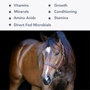 Mega-Mag (35lb) Tasakaalustatud Multi Vitamiin/Mineral Supplement for Alfalfa Hay Dieets