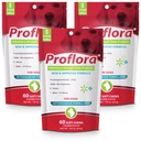 Proflora probiootilised pehmed närid koertele - veterinaarne tugevus igapäevane probiootikum - seedetrakti tervis - immuunsüsteemi tugevdamine - naha ja kate tervis - 180 pehmet närimist