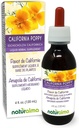 Naturalma Eschscholzia (Eschscholzia californica) ürdi Alkoholivaba tinktuur - 4 fl oz Vedel ekstrakt tilkadena - Taimne täiendus - Vegan