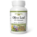 HerbalFactors by Natural Factors, Olive Leaf 500 mg, Natural Wellness Formula, 90 kapslit