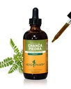 Herb Pharm Chanca Piedra Vedelikekstrakt kuseteede toetamiseks - 4 Ounce