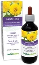 Naturalma Dandelion (Taraxacum officinale) Juur ja ürdi Alkoholivaba tinktuur - 6,76 fl oz Vedel ekstrakt tilkadena - Taimne täiendus - Vegan