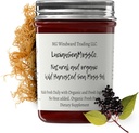 Dr Sebi Inspireeritud Alkaline Orgaaniline Värske Elderberry Ingver Sea Moss Gel - Natural Essential Vitamiinid, Mineraalid Plus Antioksüdandid Wild Harvested Saint Lucia (8 oz.)