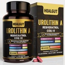 9-in-1 urolitiin A Täiendus naistele Anti-Aging 1000mg: Antioksüdandid Kapslid Trans-Resveratrooli ja CoQ10 - USA Lab Kinnitatud tugi Tervislik vananemine ja rakkude uuendamine