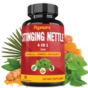 Stinging Nettle ekstrakti kapslid Boswellia, Turmeric & Saw Palmetto - 2 kuu pakkumine liigese, keha juhtimise, naha, juuste ja immuunsuse jaoks