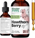 Forever Kutsikas Hawthorn Berry tilgad koertele - Antioksüdantne tugi tinktuur koertele w / Harthorn Berry - Vedel südame tervise täiendus õnnelikele lemmikloomadele - säilitusainete ja kunstlike värvide puudumine - 2 oz