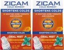 Zicam Cold Remedy Tsink Arktika Rahapaja Suukaudne udu, 1 Ounce (pakk 2)