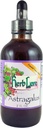 Herb Lore Astragalus Tinktuur – Vedel Astragalus Juure ekstrakti tilgad - Immuunsüsteemi tugi - 4 Fl Oz