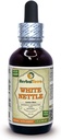 Herbal Terra LLC White Nettle (Lamium Album) Tinktuur, kuivatatud lehed Vedelik Ekstrakt 2 oz