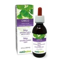 Naturalma Ginkgo (Ginkgo biloba) Leht Alkoholivaba tinktuur - 4 fl oz Vedelikekstrakt tilkades - Taimne täiendus - Vegan
