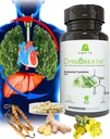 OMNIBREATHE - Kiire hingamisprobleemide parandamine NAC 600MG teaduslikult formuleeritud w. Quercetin/Mullein/Coq 10/Ginger/Stinging Nettle/Bromelain,3 korda w. Eine (10-päevane pakkumine, et suurendada)