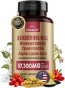 Premium Berberine Supplement koos Resveratrooliga Quercetin Alpha Lipoic Acid - 50: 1 Berberine HCl kompleks tugevad antioksüdandid, polüfenoolid, Vitality Boost - 90 Vegan tabletid, Non-GMO, Gluteenivaba