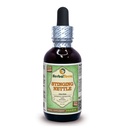Herbal Terra LLC Stinging Nettle (Urtica Dioica) Glycerite, Organic Kuivatatud Lehed Alkoholivaba vedelik Ekstrakt 2 oz