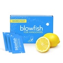 Blowfish for Hangovers - kiire pohmelli leevendamine 15 minutiga | Peavalu leevendamine, energia ja hüdratsioon ühes etapis | ühekordne kast
