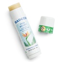Badger Bug Bite Itch Relief Stick, Natural & Organic Anti Itch Cream veahambad, lööbed ja mürk Ivy, kiire sügelev naha leevendamine pärast hammustamist, töötab hästi, lõhnab suur, lihtne kasutada, .6 oz