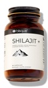Blisque – Pure Himalayan Organic Shilajit Vaigu ekstrakt kapslid | Autentne ja looduslik | Kuldne klass A | Sisaldab Fulvic Acid and Trace Minerals | 90 kapslit