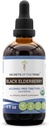 Saladused Tribe Black Elderberry Alkoholivaba Tinktuur (Glycerite) 680 mg USDA Orgaaniline must leedripuu (Sambucus Nigra) Kuivatatud Marja (4 Fl Oz) Immune Support Supplement