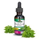 Looduse vastus Nõgesleht orgaanilise madala alkoholiga 1 Vedelik Ounce | Taimne täiendus | Aitab edendada immuunsüsteemi tervist | Mitte-GMO, Kosher, Gluteenivaba