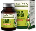 Banyan Botanicals Yogaraj Guggulu - orgaaniline ühine tugilisa - Ayurveda segu skeleti- ja neuromuskulaarsete süsteemide toetamiseks * - 90 tabletti - mitte-GMO, jätkusuutlikult hangitud, vegan