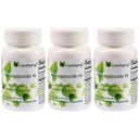 Super-absorptsiooni krakkimine Astragalosiid IV 98% vananemisvastased toidulisandid täiskasvanute immuunsuse toetamiseks 50 mg / Cap 90 kapslit 3 pudelis
