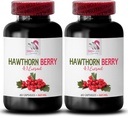 viirpuu ekstrakti täiendada - HAWTHORN BERRIES EXTRACT - marja täiendada, antioksüdant täiendada naistele, antioksüdant marjad, orgaanilise viirpuu marja ekstrakt, antioksüdante naistele 2 Bot 120 Caps