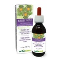 Naturalma õnnistatud ohakas või Püha ohaka (Cnicus benedictus) ürdi lilledega Alkoholivaba tinktuur - 4 fl oz Vedel ekstrakt tilkades - Taimne täiendus - Vegan