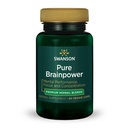 Swanson Pure Brainpower Aju Tervise Kognitiivne Mälu Fookuse tugi Aju poolt toodetud neurotroofne faktor (BDNF) Taimne täiendus (Ginkgo Biloba, Bacopa Monnieri) 60 Veggie kapslit (Veg Caps) Vegan