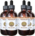 Eesnäärmetoetus Dietary Supplement: Pygeum (Pygeum Africanum) Bark, Saw Palmetto (Serenoa Repens) Berry, Stinging Nettle (Urtica Dioica) Leaf Tinktuur (Alkohol põhinev Vedel Ekstrakt) 4x4 oz