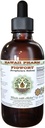 Figwort Alkoholivaba vedelik ekstrakt, orgaaniline viigipuu (Scrophulara Nodosa) Kuivatatud ürdi Glycerite Hawaii Pharm Looduslik Taimne täiendus 2 oz