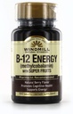 Tuuleveski Vitamiin B-12 Energia Super Fruits Tablets 100 Ea