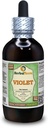 Violett (Viola Yedoensis) Kuivatatud ürdi alkoholivaba vedelik ekstrakt (Brand Name: HerbalTerra, Proudly Made in USA) 4 oz
